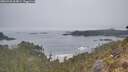 ./images/calvert/foggy-cove/20260430/foggy-cove20260430_064001M.jpg