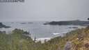 ./images/calvert/foggy-cove/20260430/foggy-cove20260430_064502M.jpg