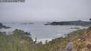 ./images/calvert/foggy-cove/20260430/foggy-cove20260430_071001M.jpg
