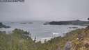 ./images/calvert/foggy-cove/20260430/foggy-cove20260430_072001M.jpg
