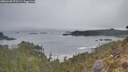 ./images/calvert/foggy-cove/20260430/foggy-cove20260430_072501M.jpg