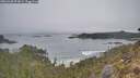 ./images/calvert/foggy-cove/20260430/foggy-cove20260430_073001M.jpg