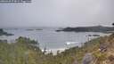 ./images/calvert/foggy-cove/20260430/foggy-cove20260430_074002M.jpg