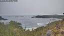./images/calvert/foggy-cove/20260430/foggy-cove20260430_074501M.jpg