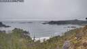 ./images/calvert/foggy-cove/20260430/foggy-cove20260430_080001M.jpg
