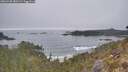 ./images/calvert/foggy-cove/20260430/foggy-cove20260430_080501M.jpg
