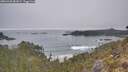 ./images/calvert/foggy-cove/20260430/foggy-cove20260430_081001M.jpg