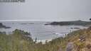 ./images/calvert/foggy-cove/20260430/foggy-cove20260430_081501M.jpg