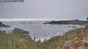 ./images/calvert/foggy-cove/20260430/foggy-cove20260430_082501M.jpg