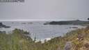 ./images/calvert/foggy-cove/20260430/foggy-cove20260430_083001M.jpg