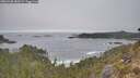 ./images/calvert/foggy-cove/20260430/foggy-cove20260430_083501M.jpg