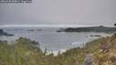 ./images/calvert/foggy-cove/20260430/foggy-cove20260430_084001M.jpg