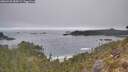 ./images/calvert/foggy-cove/20260430/foggy-cove20260430_084501M.jpg