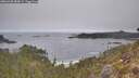 ./images/calvert/foggy-cove/20260430/foggy-cove20260430_085001M.jpg