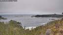 ./images/calvert/foggy-cove/20260430/foggy-cove20260430_085502M.jpg