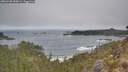 ./images/calvert/foggy-cove/20260430/foggy-cove20260430_090001M.jpg