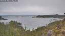 ./images/calvert/foggy-cove/20260430/foggy-cove20260430_090501M.jpg