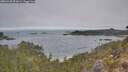 ./images/calvert/foggy-cove/20260430/foggy-cove20260430_091001M.jpg