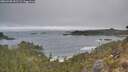 ./images/calvert/foggy-cove/20260430/foggy-cove20260430_091501M.jpg