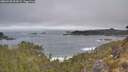 ./images/calvert/foggy-cove/20260430/foggy-cove20260430_092001M.jpg