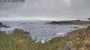 ./images/calvert/foggy-cove/20260430/foggy-cove20260430_092501M.jpg