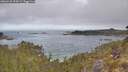 ./images/calvert/foggy-cove/20260430/foggy-cove20260430_093002M.jpg