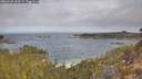 ./images/calvert/foggy-cove/20260430/foggy-cove20260430_093501M.jpg