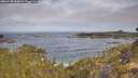 ./images/calvert/foggy-cove/20260430/foggy-cove20260430_094001M.jpg