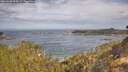 ./images/calvert/foggy-cove/20260430/foggy-cove20260430_094501M.jpg