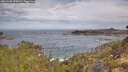 ./images/calvert/foggy-cove/20260430/foggy-cove20260430_095001M.jpg