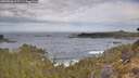 ./images/calvert/foggy-cove/20260430/foggy-cove20260430_095501M.jpg