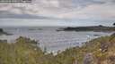 ./images/calvert/foggy-cove/20260430/foggy-cove20260430_100001M.jpg
