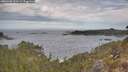 ./images/calvert/foggy-cove/20260430/foggy-cove20260430_100501M.jpg