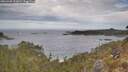 ./images/calvert/foggy-cove/20260430/foggy-cove20260430_101001M.jpg