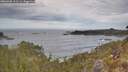 ./images/calvert/foggy-cove/20260430/foggy-cove20260430_101501M.jpg