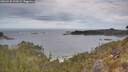 ./images/calvert/foggy-cove/20260430/foggy-cove20260430_102001M.jpg