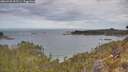 ./images/calvert/foggy-cove/20260430/foggy-cove20260430_102501M.jpg