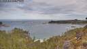 ./images/calvert/foggy-cove/20260430/foggy-cove20260430_103002M.jpg