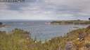 ./images/calvert/foggy-cove/20260430/foggy-cove20260430_103501M.jpg