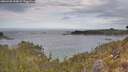 ./images/calvert/foggy-cove/20260430/foggy-cove20260430_104501M.jpg