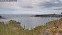 ./images/calvert/foggy-cove/20260430/foggy-cove20260430_110001M.jpg