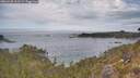 ./images/calvert/foggy-cove/20260430/foggy-cove20260430_110501M.jpg
