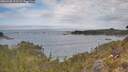 ./images/calvert/foggy-cove/20260430/foggy-cove20260430_111502M.jpg