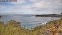 ./images/calvert/foggy-cove/20260430/foggy-cove20260430_112001M.jpg