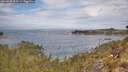 ./images/calvert/foggy-cove/20260430/foggy-cove20260430_112501M.jpg