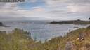 ./images/calvert/foggy-cove/20260430/foggy-cove20260430_113001M.jpg