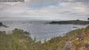 ./images/calvert/foggy-cove/20260430/foggy-cove20260430_113501M.jpg