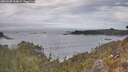 ./images/calvert/foggy-cove/20260430/foggy-cove20260430_114001M.jpg