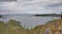 ./images/calvert/foggy-cove/20260430/foggy-cove20260430_114501M.jpg