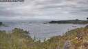 ./images/calvert/foggy-cove/20260430/foggy-cove20260430_115001M.jpg